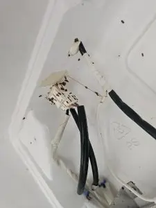 Insects discovered around the refrigerator wiring and connector area.