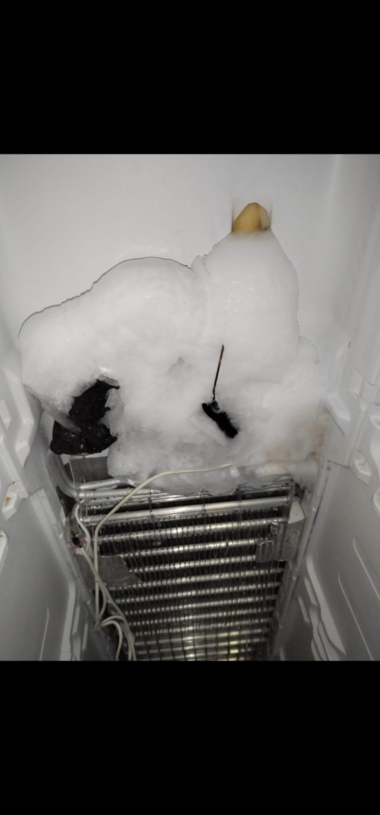 Screenshot_20241003_102856_WhatsApp